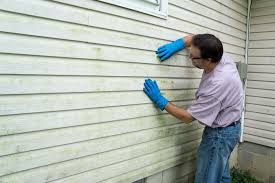 Best Storm Damage Siding Repair  in Laguna Beach, FL